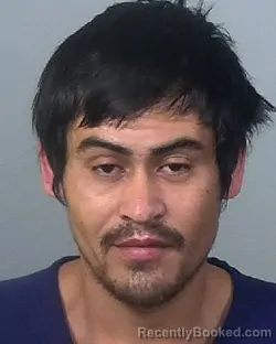 Booking photo from Manatee County, Florida