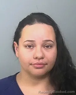 Mugshot of MONICA ISABEL CASTILLO booked in Manatee County, Florida on March 22, 2026