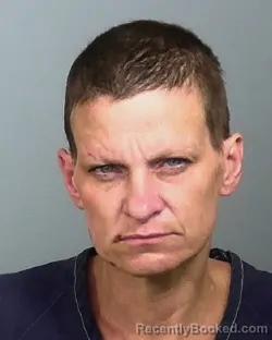 Mugshot of MICHELLE LEE CULLNAN booked in Manatee County, Florida on March 19, 2026