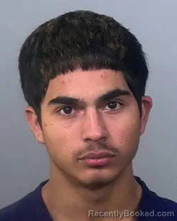 Mugshot of MANUEL STREIKER CASTILLO BLANCO