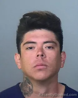 Mugshot of RICARDO CENTENO-RICO booked in Manatee County, Florida on March 26, 2026