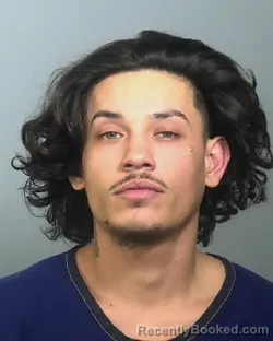 Booking photo from Manatee County, Florida