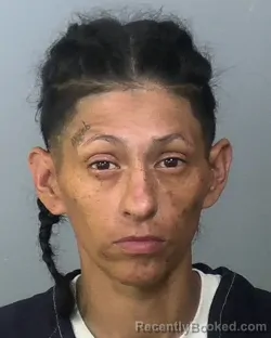 Mugshot of SABRINA NICOLE CONTRERAS booked in Manatee County, Florida on April 3, 2026