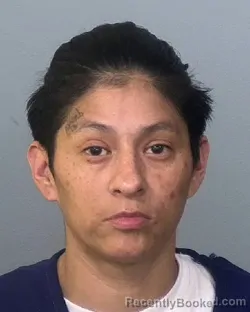 Mugshot of SABRINA NICOLE CONTRERAS booked in Manatee County, Florida on May 20, 2026