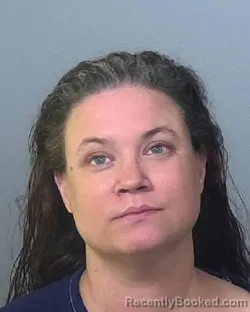 Mugshot of ANDREA LISA DOLLINGER booked in Manatee County, Florida on May 7, 2026