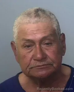 Mugshot of ADAN DIAZ-MARMOLEJO booked in Manatee County, Florida on March 20, 2026