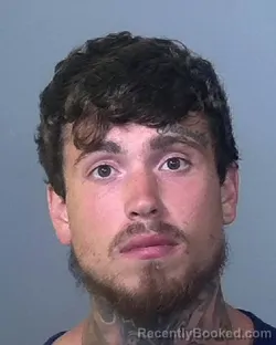 Mugshot of ALEXANDER DOUVLIS booked in Manatee County, Florida on March 22, 2026