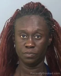 Mugshot of APRIL TONISHA DUKES booked in Manatee County, Florida on April 23, 2026