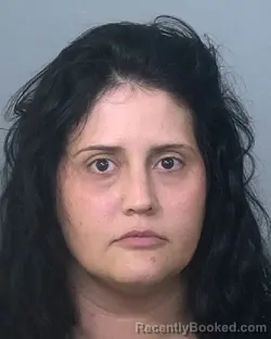 Mugshot of DANIELLE E DAVELLA booked in Manatee County, Florida on April 2, 2026