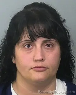 Mugshot of DANIELLE E DAVELLA booked in Manatee County, Florida on May 11, 2026