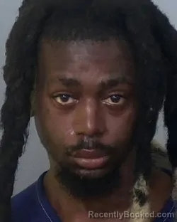 Mugshot of HENRY BYRON DAVIS booked in Manatee County, Florida on March 31, 2026