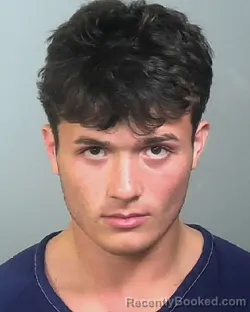 Mugshot of JOSEPH G DROGE booked in Manatee County, Florida on March 20, 2026