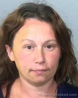 Mugshot of JESSICA MARIE DEYO booked in Manatee County, Florida on April 2, 2026