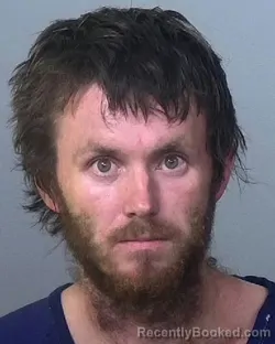 Mugshot of MAXWELL FRANCIS DRISCOLL booked in Manatee County, Florida on March 31, 2026