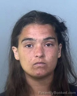 Mugshot of VALARIE SUE DRIGGERS booked in Manatee County, Florida on March 20, 2026