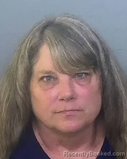 Mugshot of WENDY ANNE DELISI booked in Manatee County, Florida on March 11, 2026