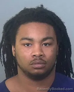 Mugshot of ANTWAN JAMALL ANTONIO ELLISON booked in Manatee County, Florida on March 19, 2026