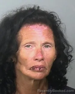 Mugshot of JANEEN MARIE EDDINGS booked in Manatee County, Florida on May 12, 2026