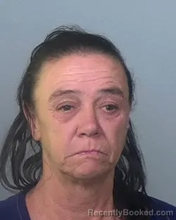 Mugshot of KRISTA LYNN EVANS booked in Manatee County, Florida on March 29, 2026