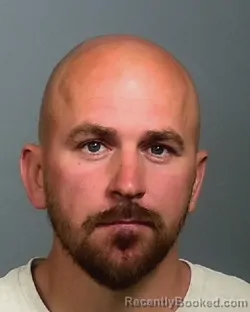 Mugshot of PATRICK ERICKSON