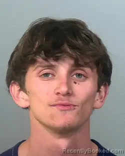 Mugshot of VICTOR ALEXANDER ELWELL