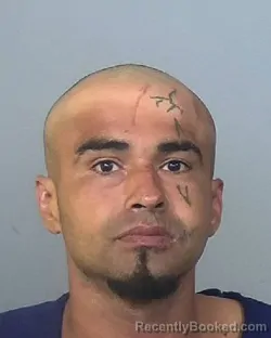 Mugshot of ALBERTO FLORES booked in Manatee County, Florida on March 24, 2026