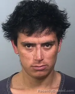 Mugshot of CHRISTIAN JOSE FLORES