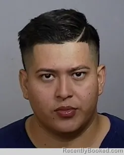 Mugshot of ESTUARDO JOSUE FLORES