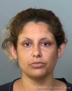 Mugshot of ELISA LYNN FIGUEROA booked in Manatee County, Florida on April 1, 2026