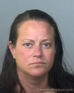 Mugshot of HEATHER DAWN FOY MILLS booked in Manatee County, Florida on March 27, 2026