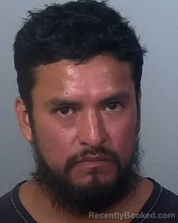Mugshot of IVAN FLORES