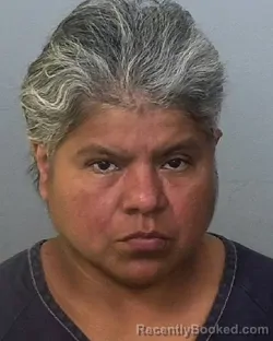 Mugshot of JOVITA FLORES booked in Manatee County, Florida on May 3, 2026