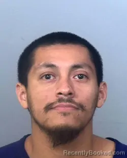 Mugshot of JUAN FALCON
