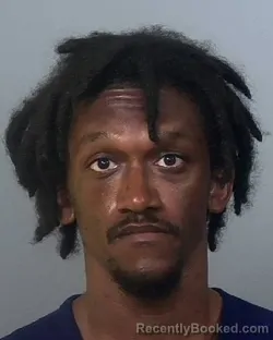 Mugshot of ANDRE JAYLAN GOVEIA