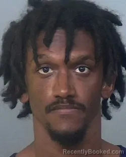 Mugshot of ANDRE JAYLAN GOVEIA