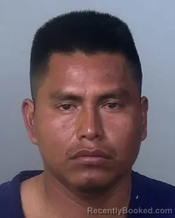 Mugshot of ALBERTO GONZALEZ - BACILIO booked in Manatee County, Florida on March 25, 2026