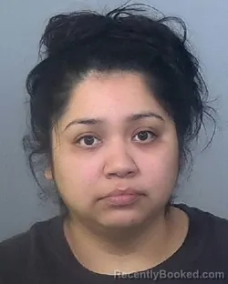 Mugshot of CYNTHIA GUTIERREZ MENDEZ