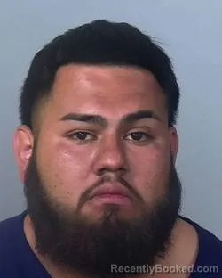 Mugshot of CHAYANE GUADALUPE GARCIA booked in Manatee County, Florida on March 25, 2026