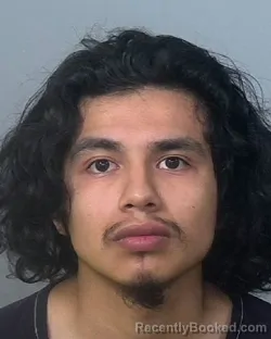 Mugshot of DAVID ALEXANDER GONZALES booked in Manatee County, Florida on March 24, 2026