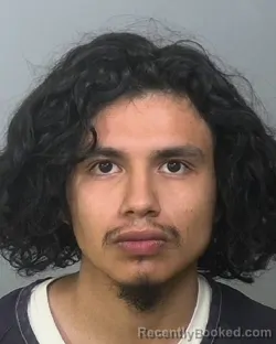 Mugshot of DAVID ALEXANDER GONZALES booked in Manatee County, Florida on April 3, 2026