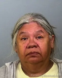 Mugshot of ERNESTINA GUTIERREZ