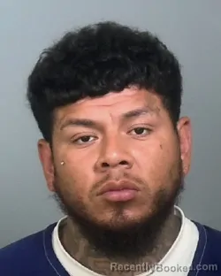 Mugshot of EMILIO GOMEZ
