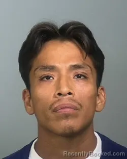 Mugshot of FERNANDO BAUTISTA GONZALES