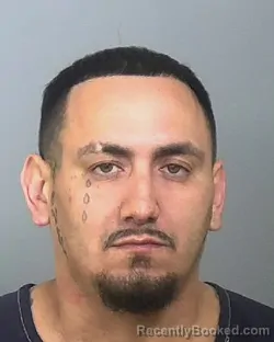 Mugshot of FERNANDO GARZA booked in Manatee County, Florida on March 15, 2026