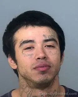 Mugshot of JESSE F GUTIERREZ booked in Manatee County, Florida on March 19, 2026