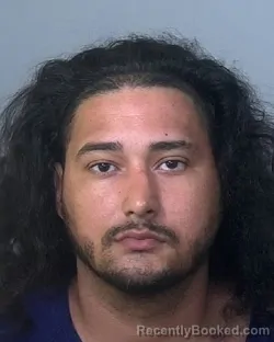 Mugshot of JOSUE FRANCISCO GUZMAN booked in Manatee County, Florida on March 31, 2026