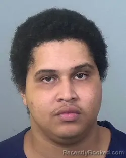 Mugshot of JOSE JUNIOR GARCIA FONTANEZ