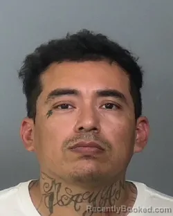 Mugshot of JONY GONZALEZ-ORTIZ booked in Manatee County, Florida on March 31, 2026