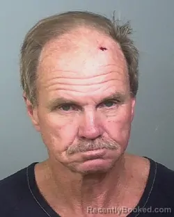 Mugshot of JAMES ROBERT GAINES booked in Manatee County, Florida on March 16, 2026