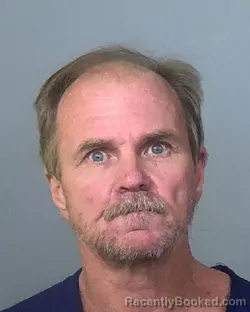 Mugshot of JAMES ROBERT GAINES booked in Manatee County, Florida on March 29, 2026